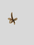 Estrella de mar